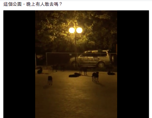 游錫堃在臉書分享了土城某公園被野狗佔據的貼文。 圖片來源：游錫堃臉書截圖