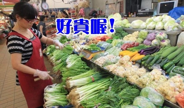 菜價受菜蟲操控與民眾預期心理，應聲飆漲。 圖片來源：華視