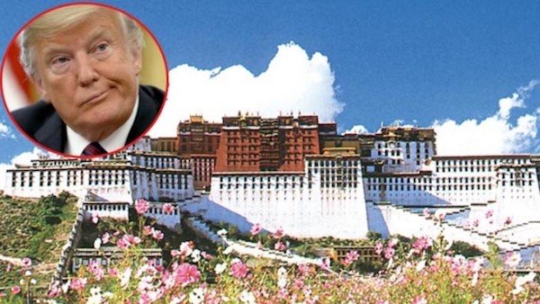川普通過「西藏旅行對等法」。 圖片來源：蘋果日報
