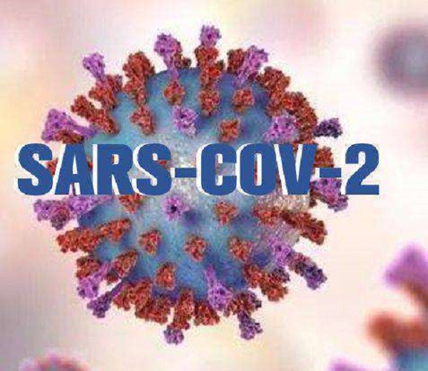 新型冠狀病毒的疫情遠勝SARS。 圖片來源：新浪網