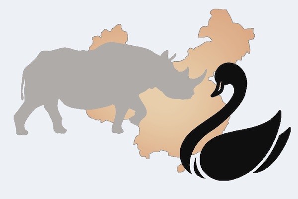 新冠病毒的灰天鵝加上人為政經因素的灰犀牛，為台灣前景增添風險。 圖片來源：工商時報