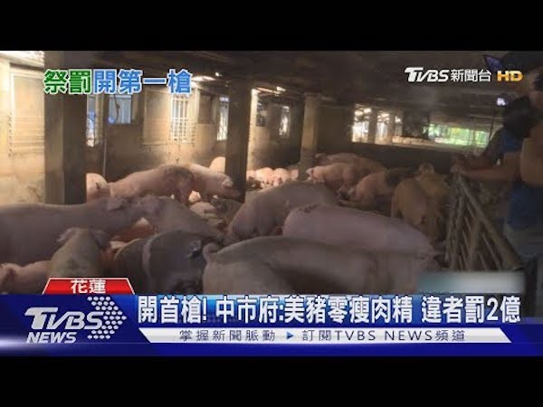 台中市政府自訂法規，美豬零瘦肉精違者罰兩億。 圖片來源：TVBS