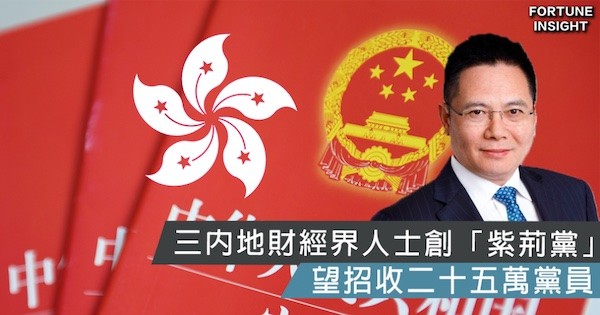 內地港漂要組紫荊黨，取代香港建制派。 圖片來源：Fortune Insight