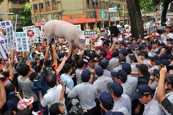 美豬與日本食品進口爭議持續中。 圖片來源：中時電子報