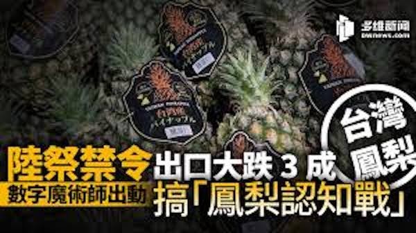 中國的鳳梨禁令是中共政治操作。 圖片來源：多維新聞