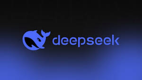 Deep-seek or Deep-adaptability ？