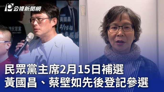 民眾黨「人才濟濟」？